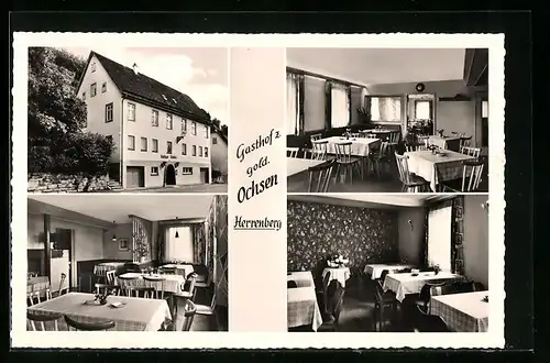 AK Herrenberg, Gasthof zum goldenen Ochsen, Innenansichten