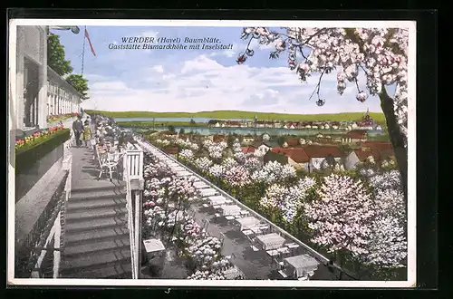 AK Werder /Havel, Gaststätte Bismarckhöhe mit Inselstadt bei Baumblüte