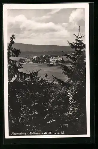 AK Altastenberg /Hochsauerland, Ortsansicht durch die Bäume