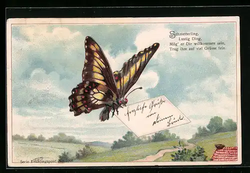 Präge-AK Schmetterling trägt einen Brief durch die Luft