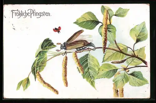 AK Fröhliche Pfingsten, Maikäfer auf Zweig