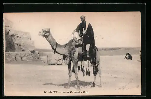 AK Ägypten, Beduine auf Kamel in der Wüste
