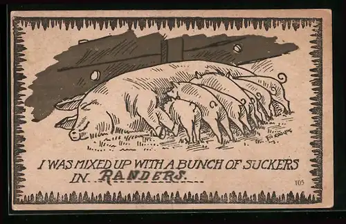 AK Muttersau mit saugenden Ferkeln im Stall