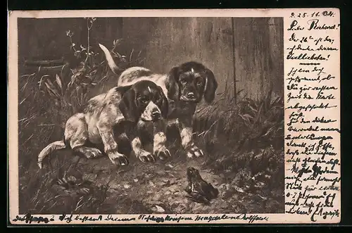 AK Zwei junge Hunde beäugen einen Frosch