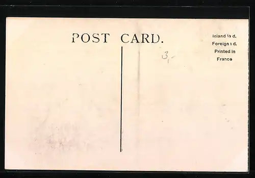 AK Landseer, Spaniels of King Charles`s Breed