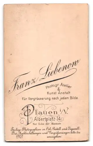 Fotografie F. Liebenow, Plauen i. V., Albertplatz 14, Freundliche junge Dame mit Haarschmuck und kunstvoller Frisur