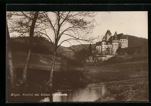 AK Mayen / Nettetal, Blick zu Schloss Bürresheim