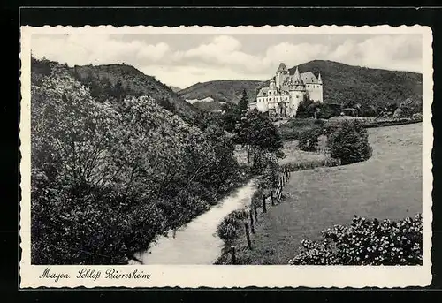 AK Mayen, Schloss Bürresheim mit Fluss