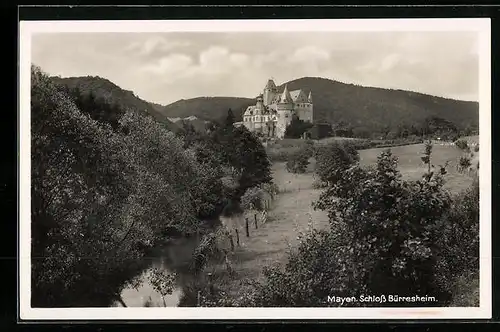 AK Mayen, Schloss Bürresheim mit Fluss und Wiesen