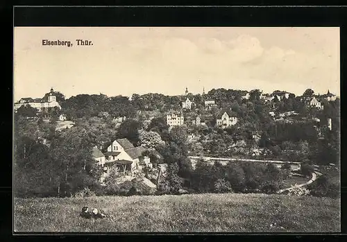 AK Eisenberg /Th., Ortsansicht von einer Wiese aus