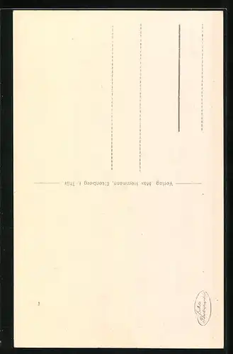 AK Eisenberg /Th., Altes Rathaus mit Strasse aus der Vogelschau