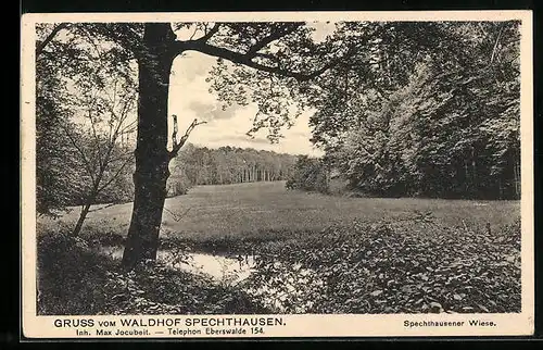 AK Spechthausen, Blick auf die Spechthausener Wiese