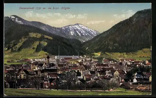 AK Immenstadt i. bayr. Allgäu, Gesamtansicht aus der Vogelschau