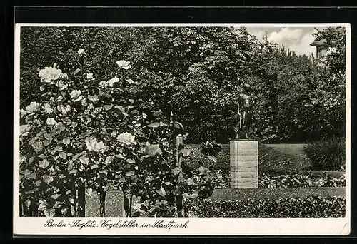 AK Berlin-Steglitz, Vogelsteller im Stadtpark