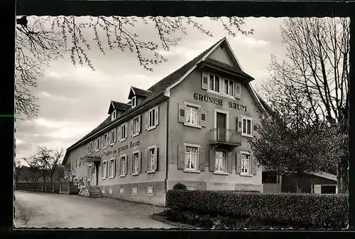 AK Oedsbach b. Oberkirch /Schwarzwald, Gasthof- Pension Zum grünen Baum