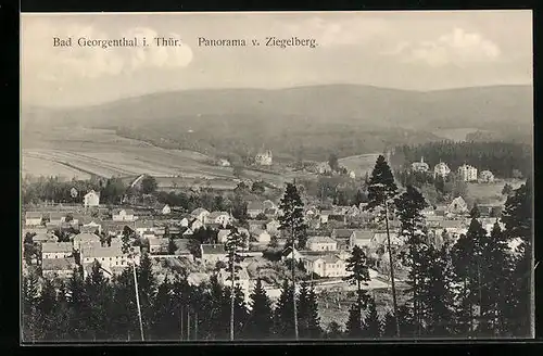 AK Bad Georgenthal i. Thür., Panorama vom Ziegelberg