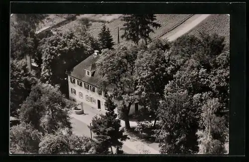 AK Zusmarshausen /Schwaben, Gasthof und Metzgerei