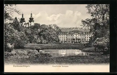 AK Donaueschingen, Blick auf das fürstliche Schloss mit Schwänen