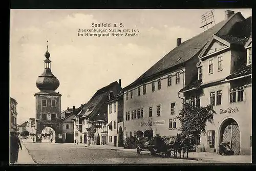 AK Saalfeld a. S., Blankenburger Strasse mit Tor