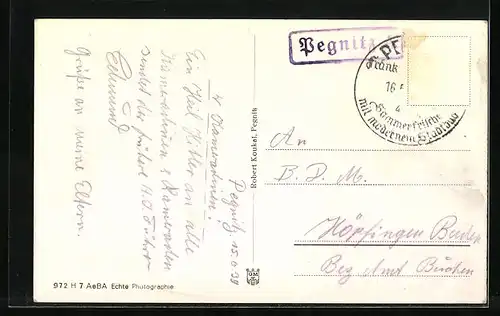 AK Pegnitz /Fränk. Schweiz, Ortsansicht mit Blick auf das Schlossberg