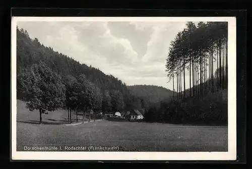 AK Schwarzenbach a. Wald, Dorschenmühle i. Rodachtal