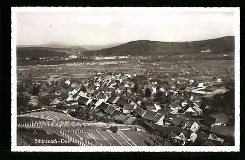 AK Schinznach-Dorf, Teilansicht