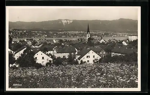 AK Zollikon, Ortsansicht im Frühling