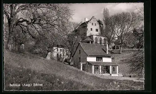 AK Bellikon, Schloss