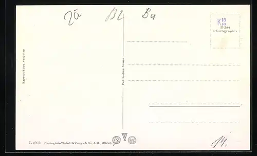 AK Zofingen, Strassenpartie an den Löwen-Statuen