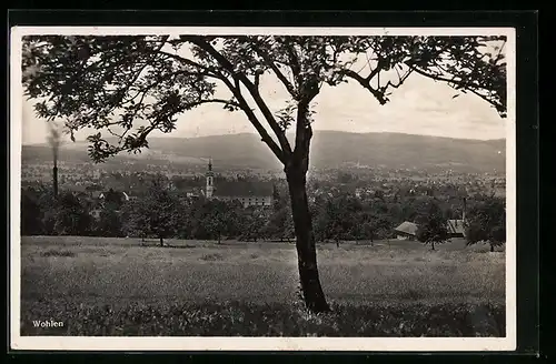 AK Wohlen, Teilansicht mit Kirche und Baum