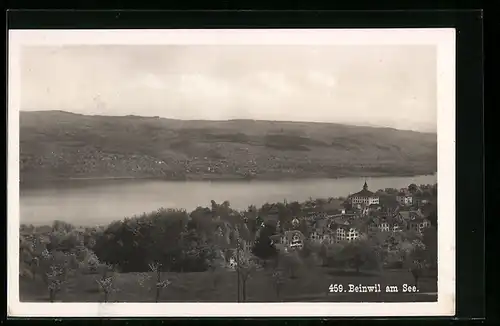 AK Beinwil am See, Ortsansicht mit Wasser