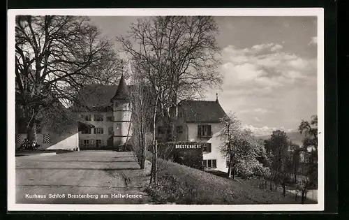 AK Seengen, Brestenberg, Kurhaus am Hallwilersee