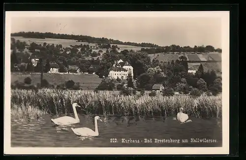 AK Seengen, Bad Brestenberg, Kurhaus am Hallwilersee