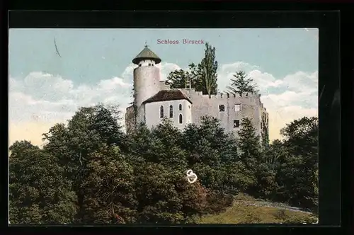 AK Birseck, Schloss Birseck