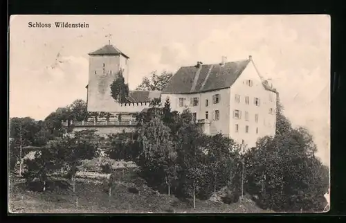 AK Wildegg, Blick auf das Schloss Wildenstein