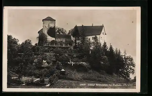 AK Veltheim, Schloss Wildenstein
