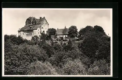 AK Wildegg, Schloss vom Westen
