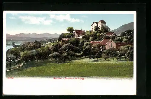 AK Wildegg /Aargau, Blick aufs Schloss