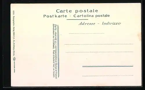 AK Solothurn, Ortsansicht mit Bergkulisse