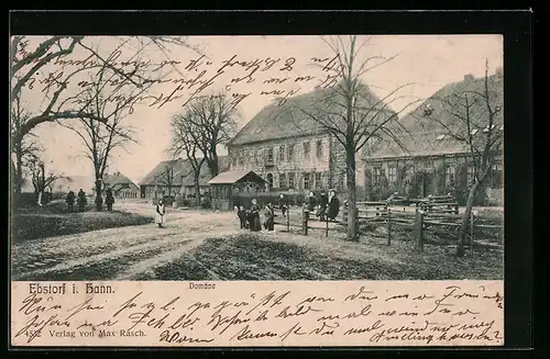 AK Ebstorf i. Hann., Blick auf die Domäne