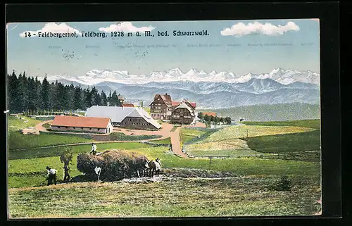 AK Feldberg /Bad. Schwarzwald, Ortsansicht mit Hotel Feldbergerhof