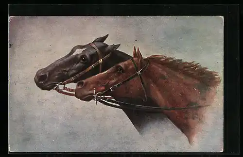 AK Motiv zweier Pferde mit Zaumzeug