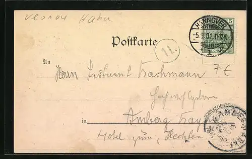 AK Hahn und Huhn, Schattenbild