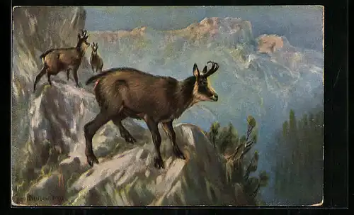AK Ziegenböcke auf einem Felsen