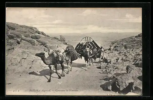 AK Algerien, Kamele einer Karavane in der Sahara