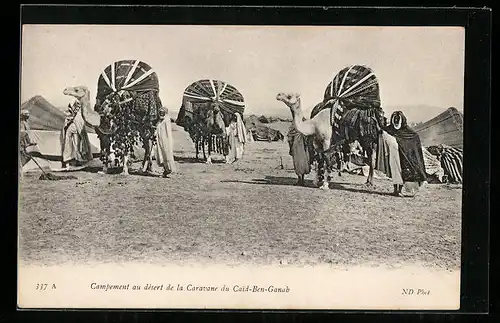 AK Bepackte Kamele mit Beduinen