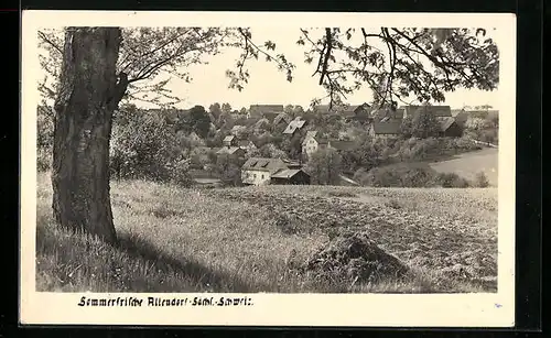 AK Altendorf /Sächs. Schweiz, idyllischer Blick auf den Ort
