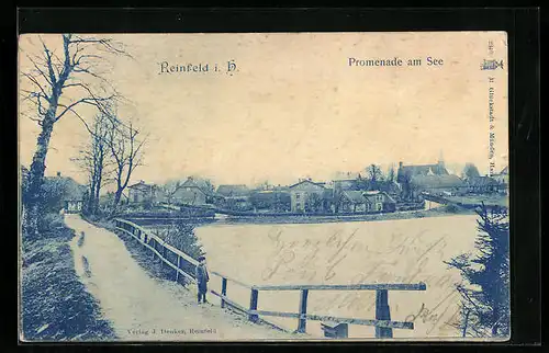 AK Reinfeld i. H., Promenade am See