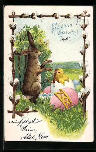 AK Osterhase beobachtet schlüpfendes Osterküken