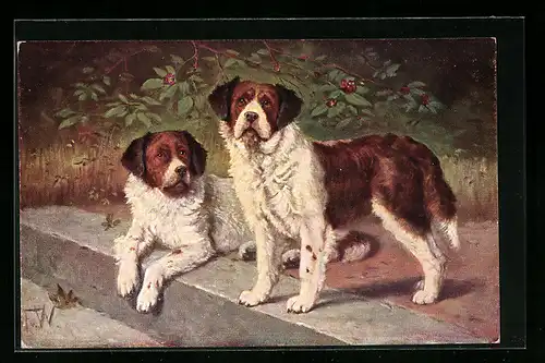 Künstler-AK Bernhardiner in einem Garten